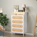 Karl Home 4-Drawer White Particle Board 29.92in. W Chest of Drawer