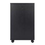 Halifax 2 Sections Mobile Storage Cabinet